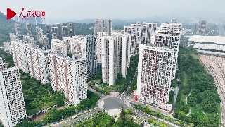 跟着总书记看中国——广东篇 幸福家园一起建