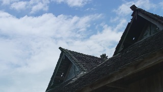 【中国纪录片大会展播片目】《雨林之子》第二集：雨林味道  原生态食材猎奇