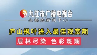庐山枫叶进入最佳观赏期，层林尽染 色彩斑斓