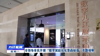 市领导率队开展“数字赋能优化营商环境”专题视察