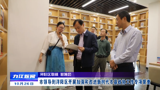 市领导到浔阳区开展加强和改进新时代市县政协工作专项督查