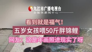 五岁女孩喂50斤胖锦鲤，这是年画照进现实了呀！