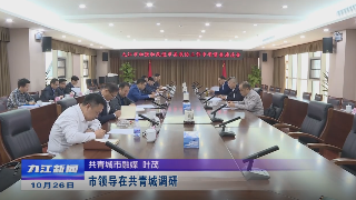 市领导在共青城调研