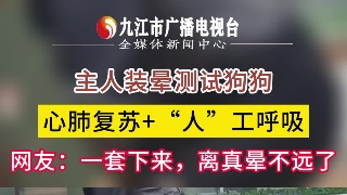 主人装晕测试狗狗，心肺复苏+“人”工呼吸，网友：一套下来，离真晕不远了