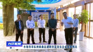 市领导率队到柴桑区调研农业龙头企业发展情况