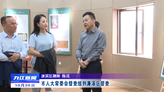 市人大常委会督查组到濂溪区督查