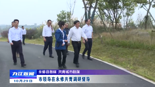 市领导在永修共青调研督导