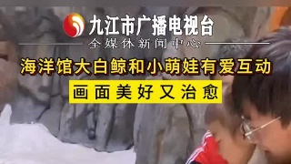 海洋馆大白鲸和小萌娃有爱互动，画面美好又治愈