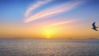 时代风尚——中国文艺志愿者助力高质量发展特别节目