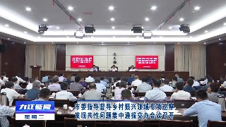 市委指导督导乡村振兴领域专项巡察发现共性问题集中通报交办会议召开