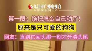 第一眼以为拖把自己动了，原来是只可爱的小狗