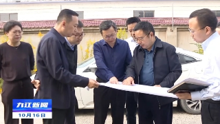 市领导调研督导石化产业园建设等工作