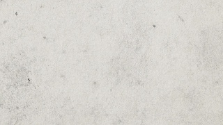 “贯彻落实党的二十大 踔厉奋发新时代”作品展播——《温暖春运中的青春力量》