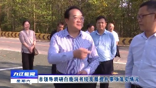 市领导调研白鹿洞书院发展提升事项落实情况