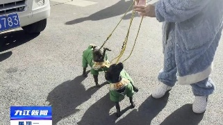 依法文明养犬  共建美好浔城