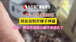网友自制开榛子神器，一锤一个准 嘎嘎好用