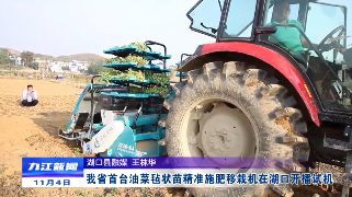 江西省首臺油菜氈狀苗精準施肥移栽機在湖口開播試機