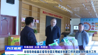 市领导到柴桑区督导全国文明城市创建工作并调研乡村振兴工作