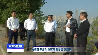 市领导开展生态环境质量督导调研