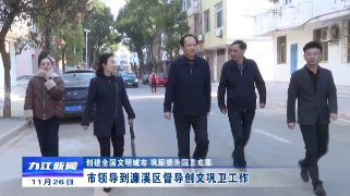 市领导到濂溪区督导创文巩卫工作