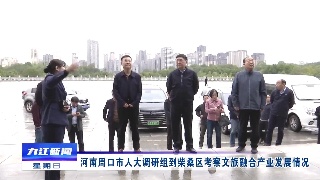 河南周口市人大调研组到柴桑区考察文旅融合产业发展情况