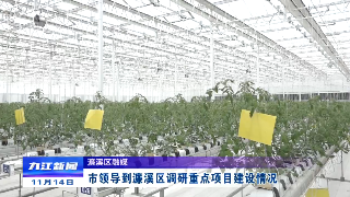 市领导到濂溪区调研重点项目建设情况
