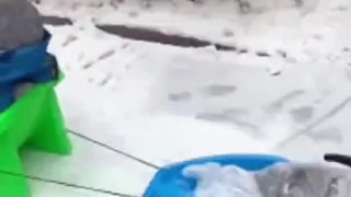 东北雪天限定版“宝宝巴士”，南方朋友实名羡慕了