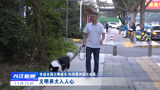【创建全国文明城市 巩固提升国卫成果】文明养犬入人心
