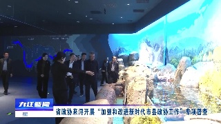 省政协来浔开展“加强和改进新时代市县政协工作”专项督查
