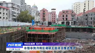 市领导到浔阳区调研文旅项目推进情况