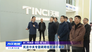 民进中央专题调研组在湖口调研，章剑飞陪同调研