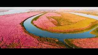 花鸟之约，我们在这等你！