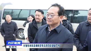 市领导到彭泽调研督导文旅项目建设工作