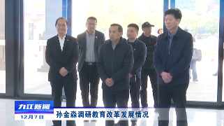 孙金淼调研教育改革发展情况