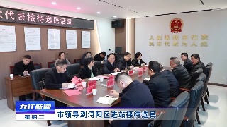 市领导到浔阳区进站接待选民