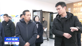 孙金淼到浔阳区调研经济社会发展和主题教育开展情况