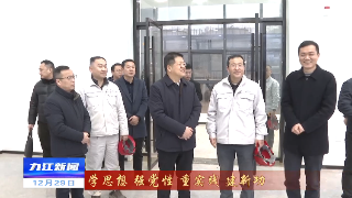 严盛平到濂溪区调研经济社会发展和主题教育开展情况