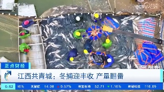 【央媒看九江】央视报道九江共青城冬捕迎丰收