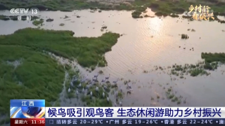 【央媒看九江】央视报道九江将“生态流量”转化为“候鸟经济”