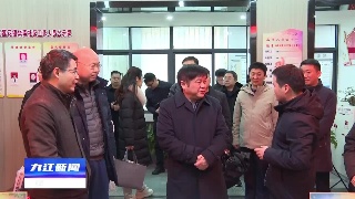 市领导调研社区党建工作并开展接待选民活动