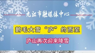 鹅毛大雪“庐”约而至 庐山再次迎来降雪 #南方的雪 #庐山