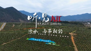 听•见-九江丨在修水与茶相约