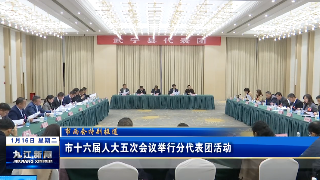 市十六届人大五次会议举行分代表团活动