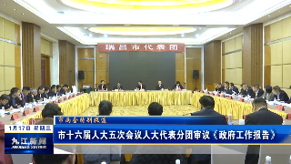 市十六届人大五次会议人大代表分团审议《政府工作报告》