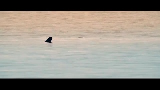 你好，微笑精灵