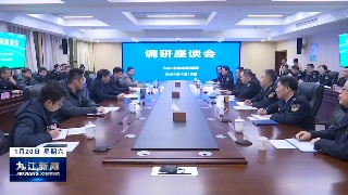 市领导调研生态环境工作