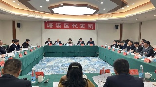 廖奇志参加濂溪区代表团审议