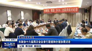 市政协十六届四次会议举行联组和分组协商讨论