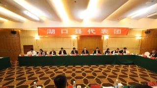 占勇参加湖口县代表团审议