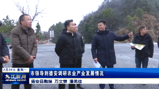 市领导到德安调研农业产业发展情况